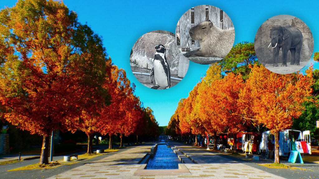 のんほいパークお出かけレポート